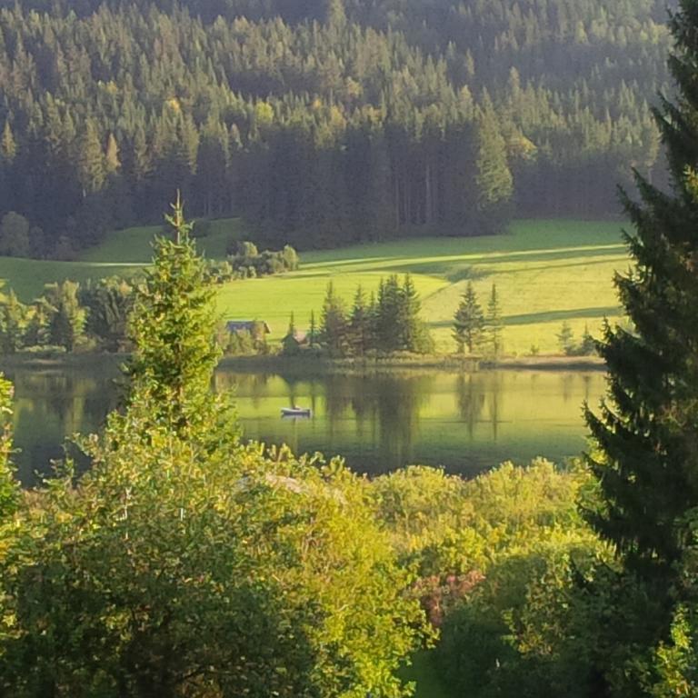 Seehaus Verena Weissensee Cameră foto
